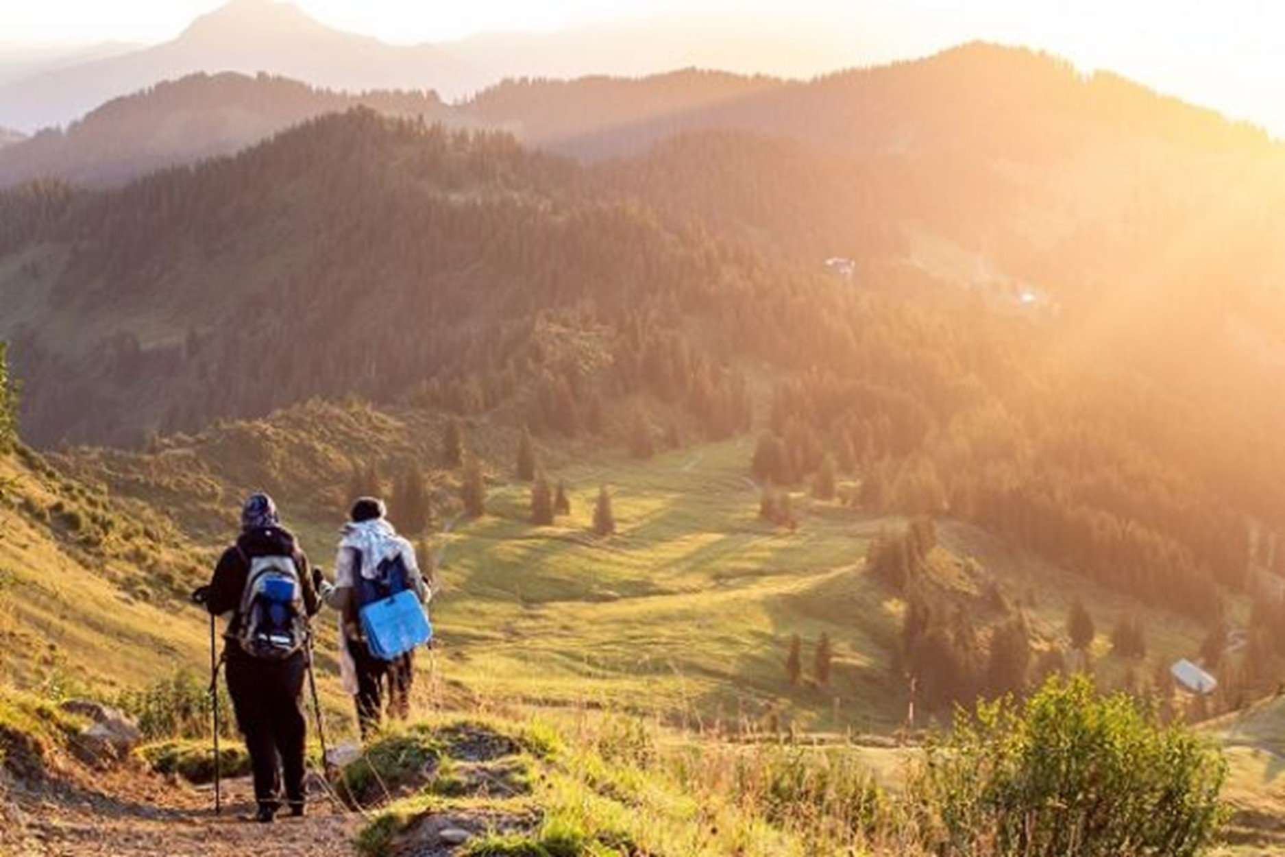 Individuelle Trauerfeier im Freien – persönlicher Abschied nach eigenen Wünschen