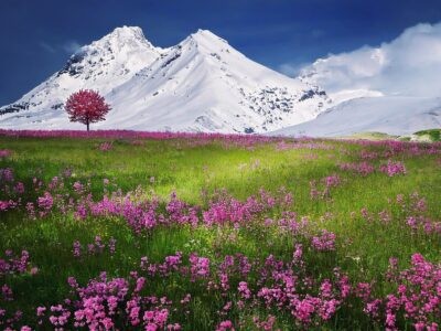 Bestattung über die Schweiz – Asche in der Alpenlandschaft bestatten